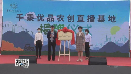 呂藝鎮(zhèn)啟動(dòng)紅色高家渡文化旅游暨萬(wàn)壽菊賞花活動(dòng)，以花為媒深化文化藝術(shù)交流